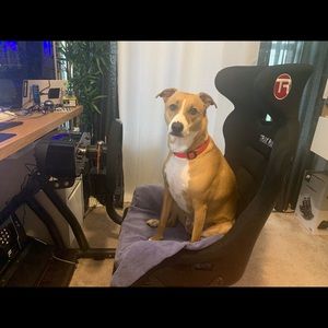 Meet your Posher, Steve